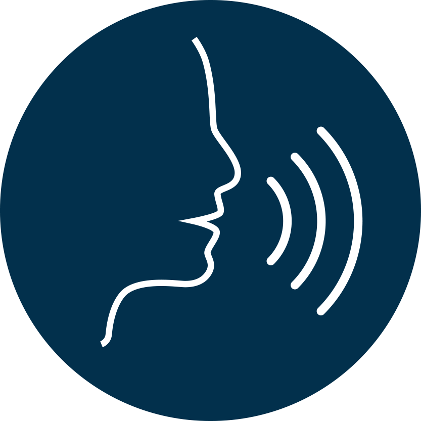 speech icon